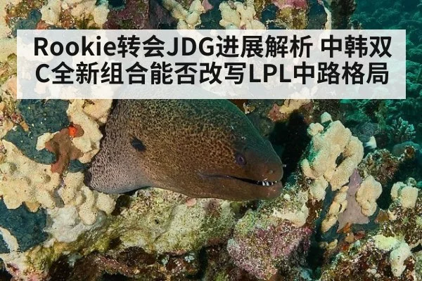 Rookie转会JDG进展解析 中韩双C全新组合能否改写LPL中路格局
